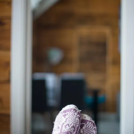 אכסניה Hattvika *